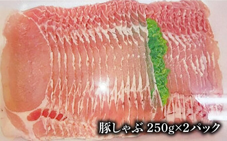 五島豚 しゃぶしゃぶ500g 五島市 / ニク勝 [PBF008] 豚肉 国産 しゃぶしゃぶ 豚肉 国産 しゃぶしゃぶ 豚肉 国産 しゃぶしゃぶ 豚肉 国産 しゃぶしゃぶ 豚肉 国産 しゃぶしゃぶ