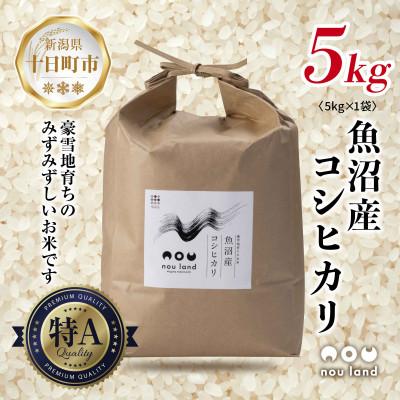 ふるさと納税 十日町市 【令和7年産 新米予約】 農家直送 魚沼産 コシヒカリ 5kg 新潟県 十日町市 のうランド