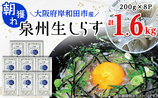 
大阪岸和田市産　＜鮮度にこだわりました!＞泉州生しらす　200g×8パック【1130852】
