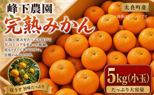 峰下農園の完熟みかん（小玉）５kg 【2026年11月上旬-12月下旬発送予定】フルーツ 果物 くだもの 柑橘 みかん ミカン 蜜柑 柑橘 たらみかん 太良みかん 温州みかん 完熟みかん 国産 佐賀県