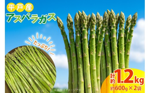 アスパラガス 約600g 2袋 計約1.2kg [平戸瀬戸市場 長崎県 平戸市 hr42bgy420524] アスパラ 野菜 グリーンアスパラ  新鮮 甘い シャキシャキ 産地直送 長崎 平戸 旬 お取り寄せ 大容量 家庭用 バーベキュー BBQ