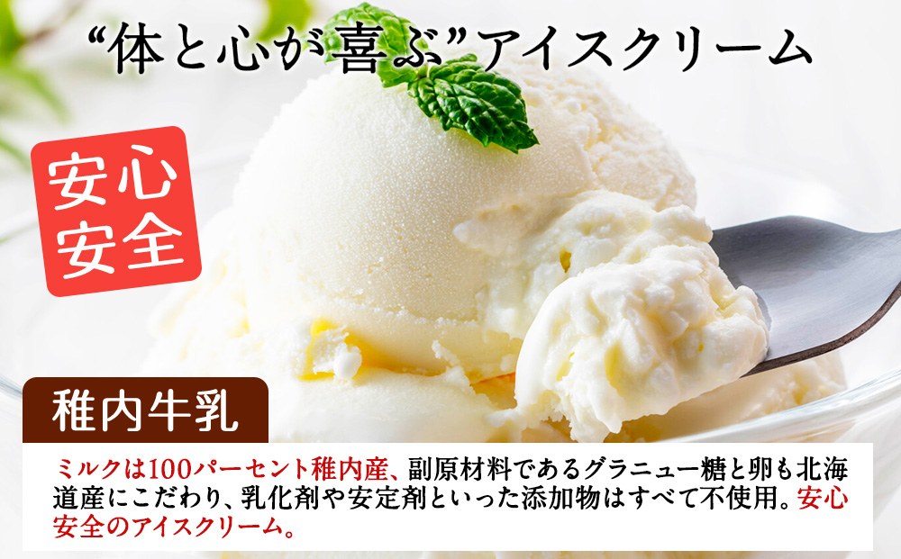 稚内牛乳 アイスクリーム 宗谷の塩　12個セット（各90ml）