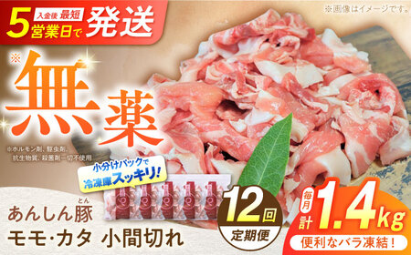 【12回定期便】 《バラ凍結》 モモ・カタ 小間切れ 1.4kg （280g×5袋） 豚肉 小分け 定期便 豚こま 白川町 / 藤井ファーム[AWAF032]