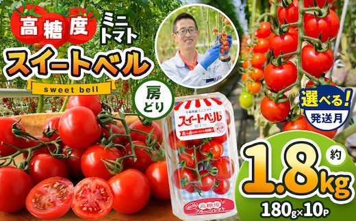 
										
										【2月発送】 高糖度 ミニトマト スイートベル （ 房どり ） 180g × 10P | 野菜 トマト ミニトマト プチトマト トマト 高糖度 トマト とまと 小分け 君津とまとガーデン 千葉 君津 きみつ
									