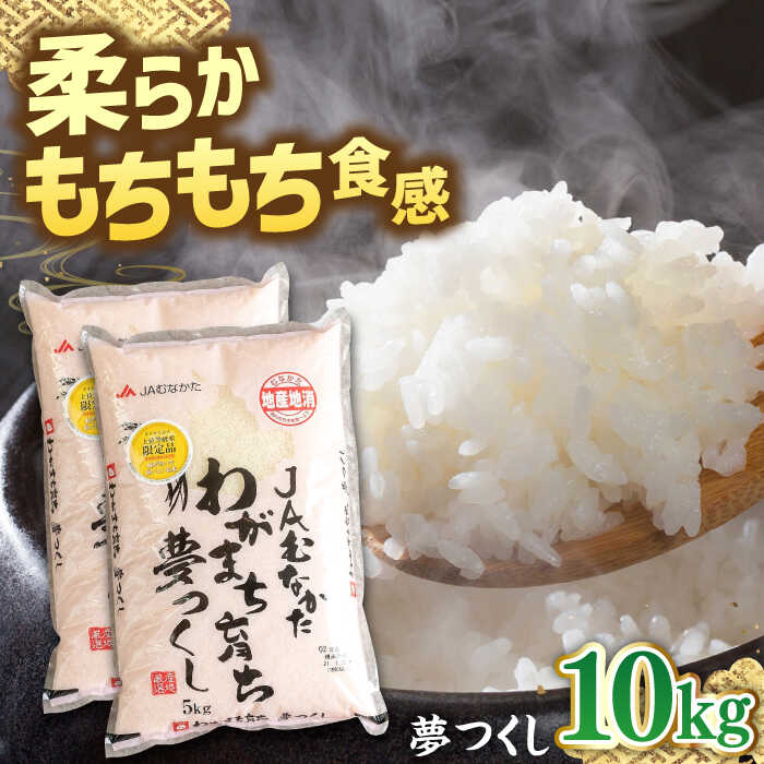 【ふるさと納税】福岡産ブランド 米 夢つくし 10kg (5kg×2袋) ▼ 米 こめ お米 福岡 九州 白米 精米 桂川町/南国フルーツ株式会社[ADBW029]