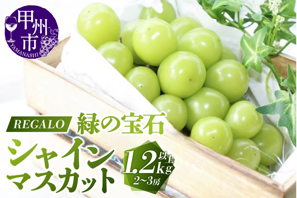 
            頬張る幸福感 ～緑の宝石・シャインマスカット～ 1.2kg以上（2～3房）【2025年発送】（RG）B-843 【シャインマスカット 葡萄 ぶどう ブドウ 令和7年発送 期間限定 山梨県産 甲州市 フルーツ 果物】
          