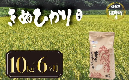 【 令和8年産 米 10kg 定期便 6ヶ月 】 きぬひかり 米 白米 国産 滋賀県 日野町 農家直送 お米 おこめ こめ 産地直送 ふるさと納税
