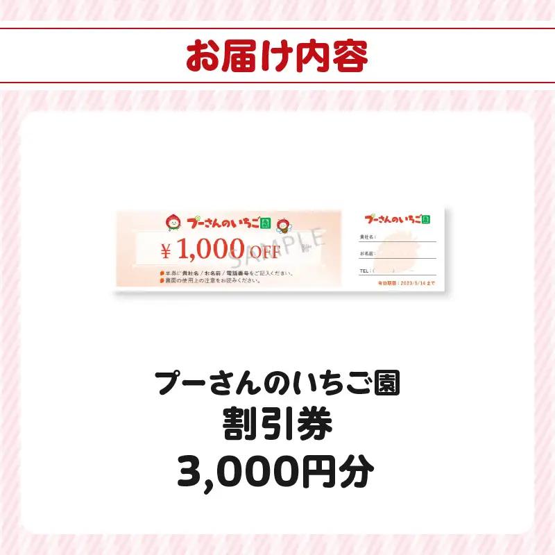 プーさんのいちご園　割引券（3,000円分） 【レターパック】 イチゴ狩り あまおう 恋みのり 紅ほっぺ さがほのか かおり野 おいCベリー あまえくぼ よつぼし 高設栽培 多段式 バリアフリー 車椅