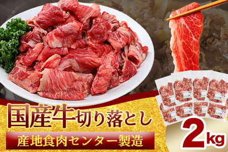  国産牛切り落とし2kg（250g×8パック）（DV072）