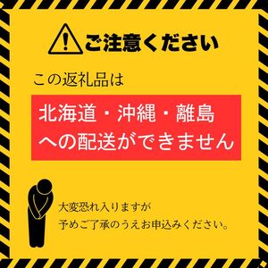 定期便500ml 48本×6か月 ナチュラルミネラルウォーター ピュアの森
