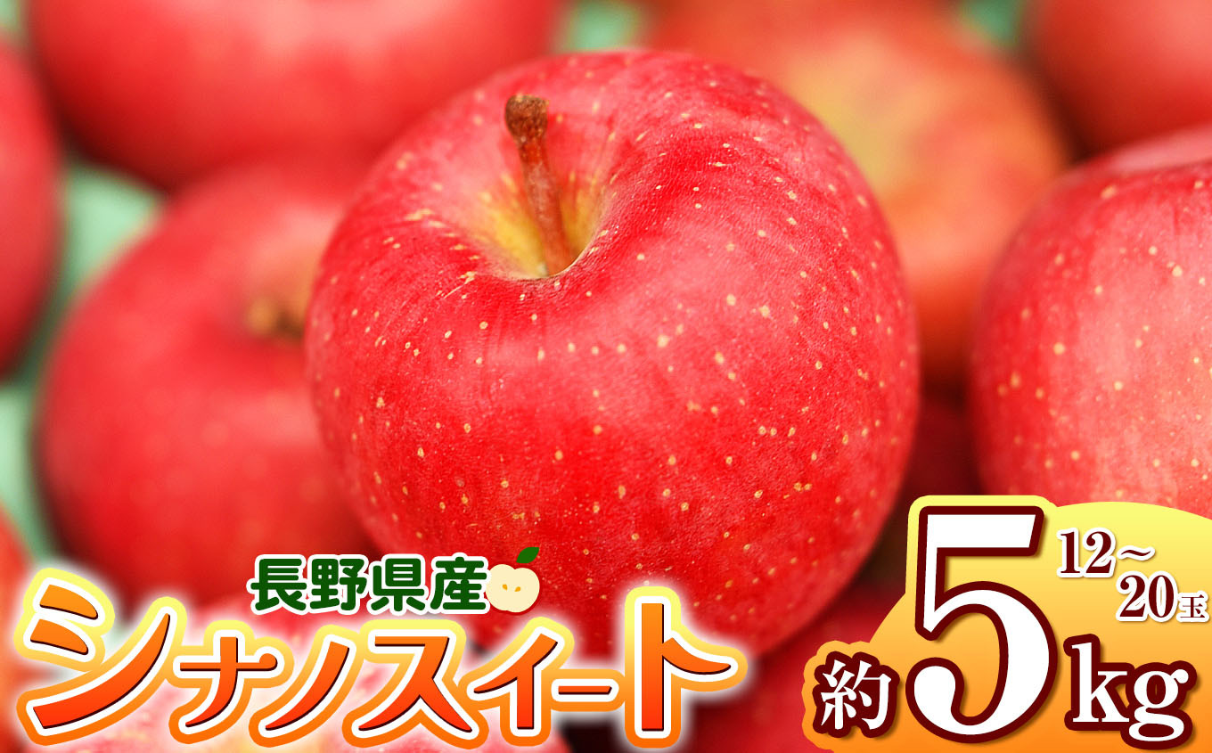 
            【2026年先行予約】シナノスイート 約5kg ｜ 浅野農園 リンゴ りんご 林檎 果物 くだもの フルーツ 果実 果汁シナノスイート 長野県 松川村 信州
          