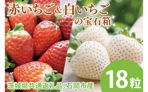 
            赤いちごと白いちごの宝石箱 18粒（茨城県共通返礼品：石岡市産）　※2024年12月初旬～2025年3月下旬頃に順次発送予定(CD005-1）
          