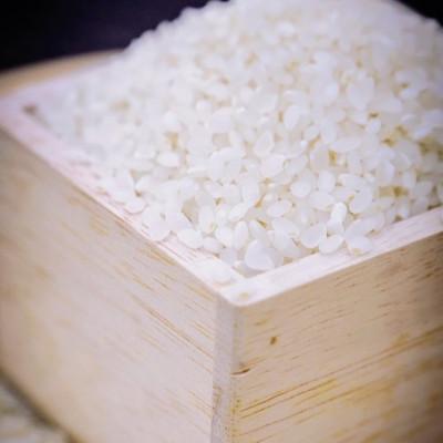 ふるさと納税 養父市 令和7年産【premium】星降る清流米　天-TEN-・凰-OU- |  | 02