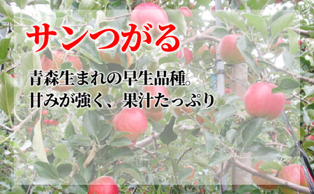りんごサンつがる 訳あり家庭用 葉取らず青森県産りんご【約5kg】