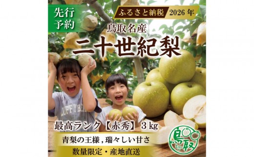 三ツ田農園 二十世紀梨(赤秀)3kg【8月下旬以降お届け】