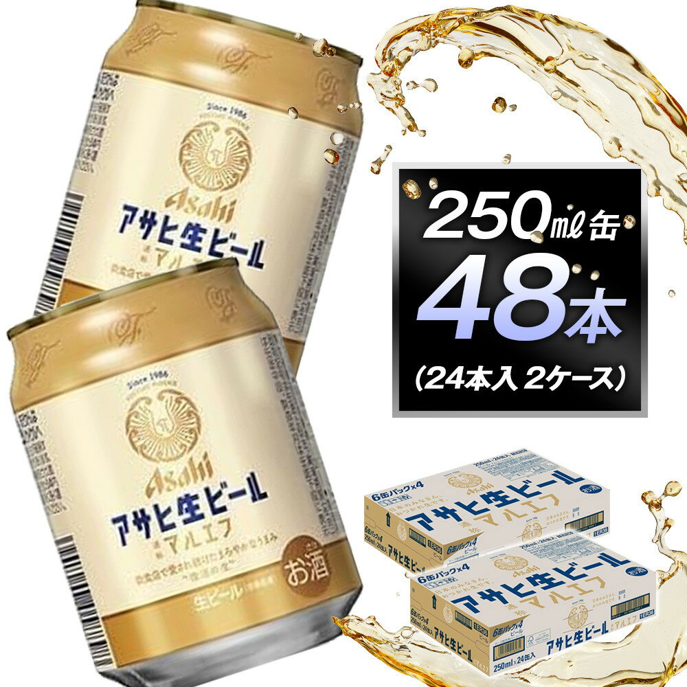 【ふるさと納税】アサヒ生ビールマルエフ250ml缶 24本入　2ケース