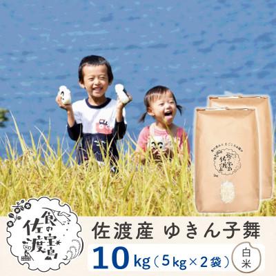 ふるさと納税 佐渡市 【毎月定期便】佐渡島産ゆきん子舞 白米10Kg(5Kg×2袋)〜栽培期間中の農薬5割減〜全6回