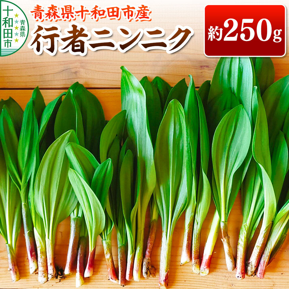 【ふるさと納税】【2027年4月発送・先行受付】山菜 行者ニンニク 約250g 青森県十和田市産 [旬のもの 山菜 春 行者にんにく 食べ方 レシピ]