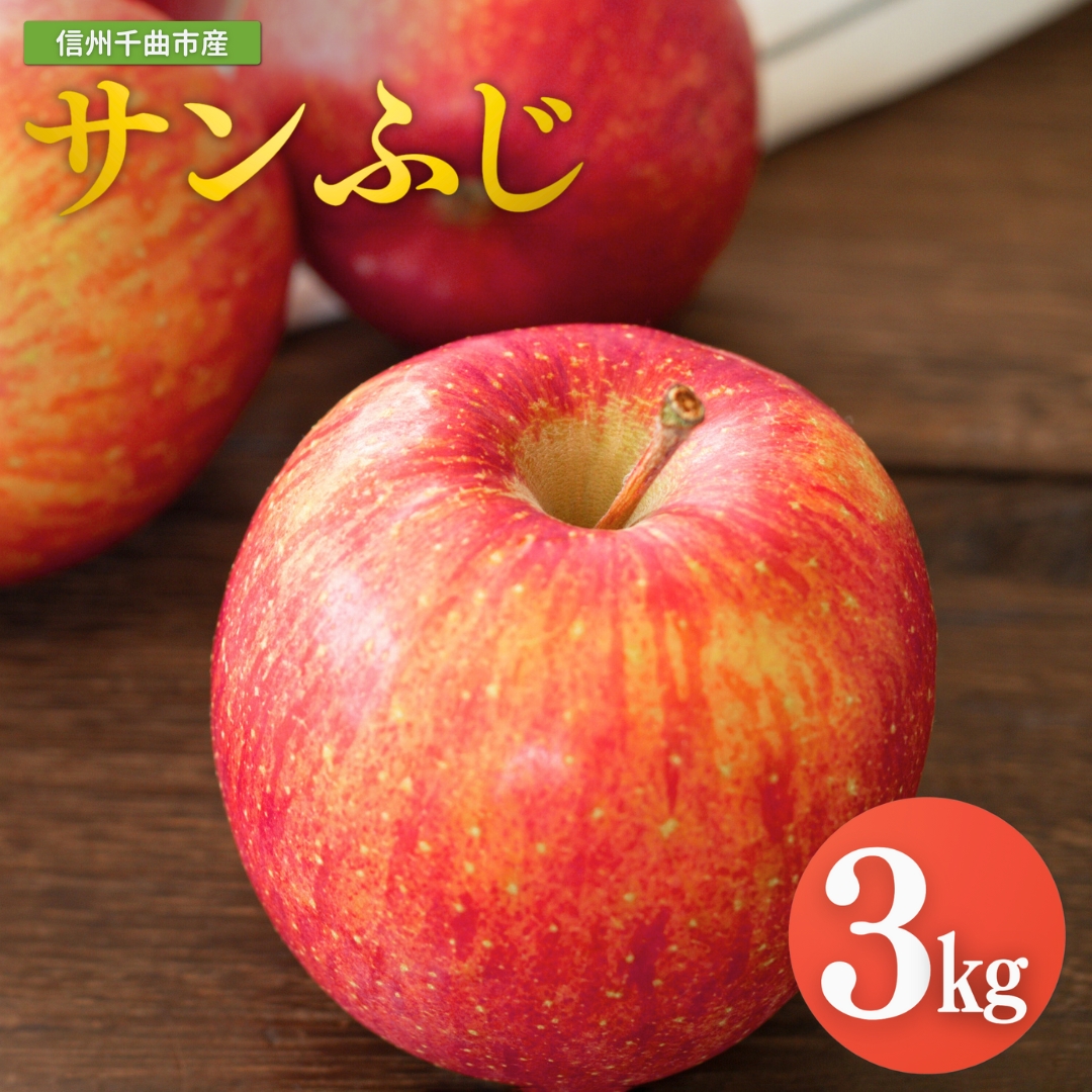【2026年先行予約】りんご サンふじ  約 3kg| 林檎 リンゴ アップル 果物 くだもの フルーツ ふじ フジ さんふじ 富士 産地直送 長野県産 信州林檎 信州りんご 信州 長野 千曲市 中島農園