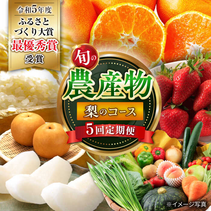 【ふるさと納税】【5回定期便】旬の農産物 梨コース / 野菜 やさい 果物 くだもの フルーツ ふるーつ 産地直送 なし 梨 ナシ フルーツ定期便 / 大村市 / おおむら夢ファームシュシュ[ACAA121]