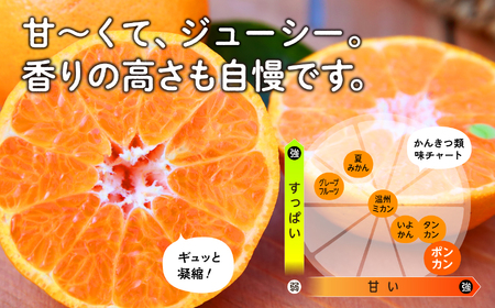 《 先行予約　2025年12月中旬頃〜1月中旬頃順次発送 》種子島産ポンカン(ご家庭用) 約5kg (24玉～36玉)【南種子町果樹部会】