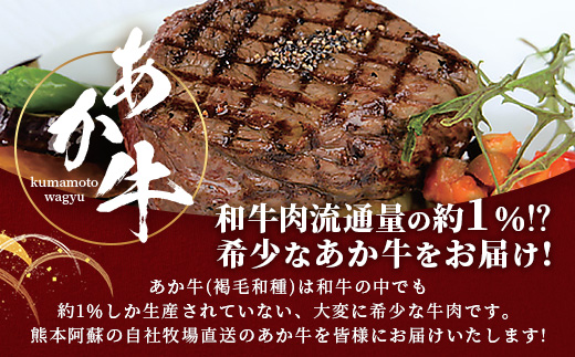 熊本和牛 あか牛 ヒレステーキ 240g (120g×2) あか牛のタレ付き【 牛肉 肉 お肉 ヒレ ステーキ 赤身 ブランド牛 希少 ヘルシー 焼肉 熊本県産 】 046-0785