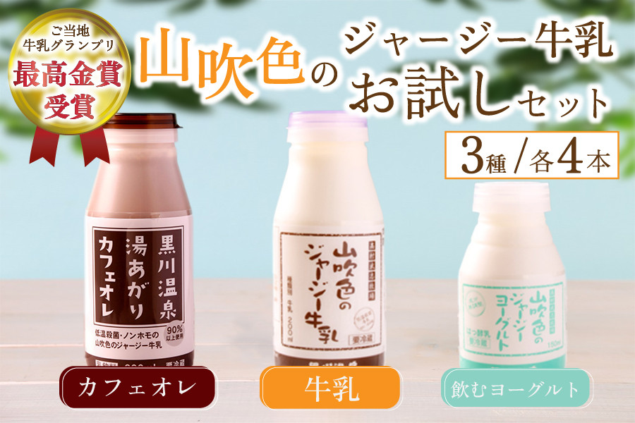 黒川温泉発 山吹色のジャージー牛乳 お試しセット 【FOODEX JAPAN 2017 最高金賞受賞】 3種 12本 ジャージー牛乳 飲むヨーグルト 牛乳 200ml 150ml カフェオレ コーヒー牛乳 詰め合わせ アソート セット 乳製品 飲料 健康 腸活 免疫力アップ 乳酸菌 ご当地牛乳グランプリ 最高金賞 ご当地 ギフト 贈答用 山のいぶき 熊本 阿蘇 南小国町 送料無料