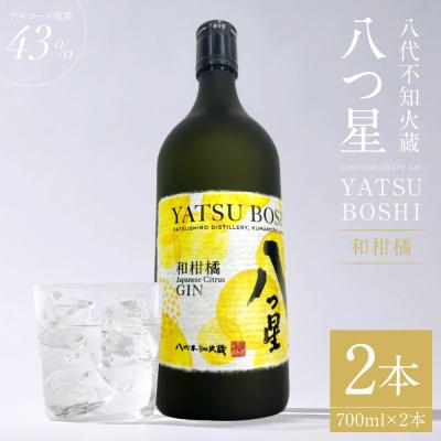 ふるさと納税 八代市 八代不知火蔵「八つ星・和柑橘(クラフトジン)」700ml×2本_133-6474