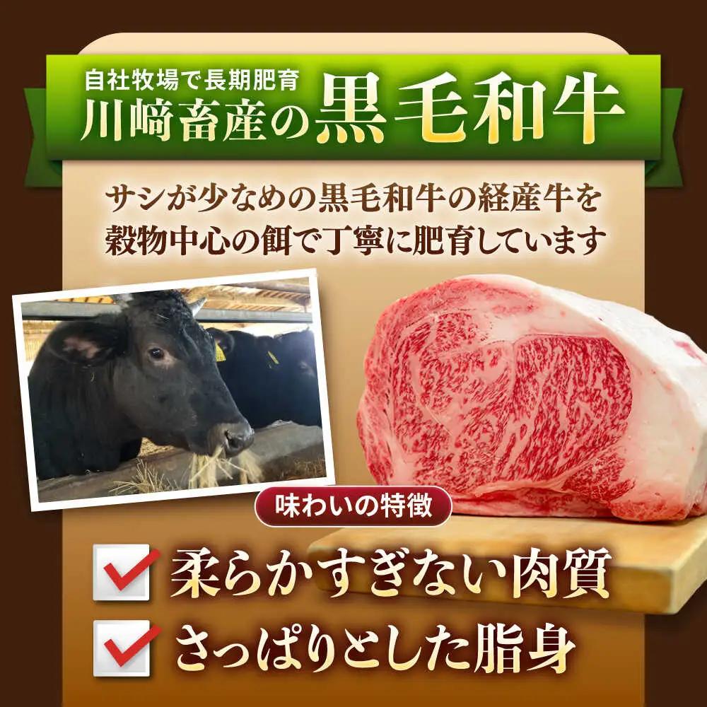 【12回定期便】黒毛和牛100%ミンチ 1kg / ひき肉  [IAX022]