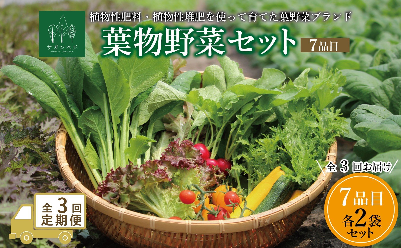 
            【定期便セット】オーガニック葉物野菜セット全3回【植物性肥料と植物性追肥を使って育てた葉野菜ブランド】葉野菜７品目×2パック
          