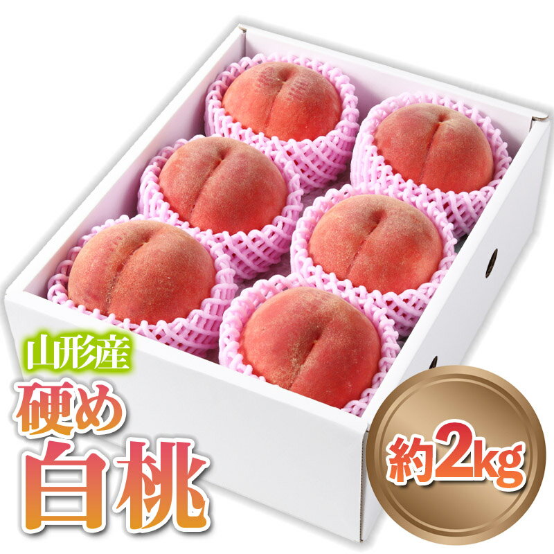 【ふるさと納税】山形産 硬め 「白桃」 秀品 約2kg (5玉〜8玉)【令和7年産先行予約】 FS24-083 くだもの 果物 フルーツ 山形 山形県 山形市 2025年産