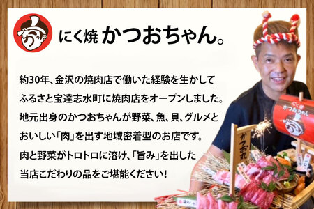ハンバーグ 能登の煮込みハンバーグ「地元バーグ」200g×3個  [にく焼かつおちゃん。 石川県 宝達志水町 38601134]  牛 豚 肉 能登 冷凍 湯煎 レンジ 簡単調理 時短 便利 肉 お肉