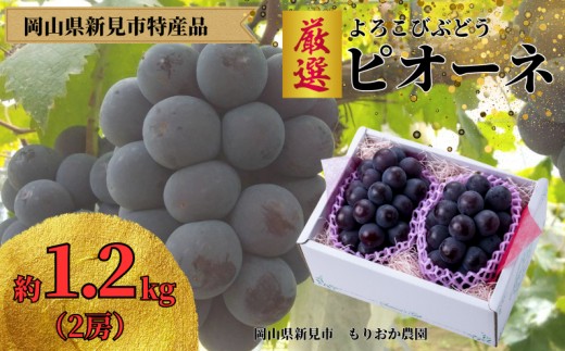 厳選 ピオーネ 約1.2kg 2房 岡山県新見市 もりおか農園 よろこびぶどう 【先行予約 2026年9月上旬から順次発送】