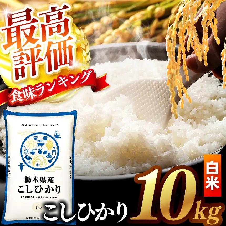 【先行予約】 ＼白米／ 栃木県産コシヒカリ 10kg