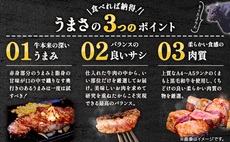 くまもと黒毛和牛 サーロインステーキ  500g 黒毛和牛