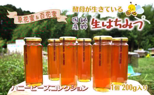 はちみつ 国産 非加熱 ハニービーズコレクション “しろいの季節”のはちみつ 200g 純粋生はちみつ