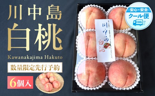 ［2026年発送分］［桃！数量限定先行予約！］川中島白桃 約2kg 6個入 100個に1個の厳選品 こだわり農家厳選！［KG33］