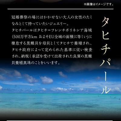 ふるさと納税 延岡市 タヒチ黒南洋真珠 ピアス 真珠 9mm 14Kホワイトゴールド |  | 01
