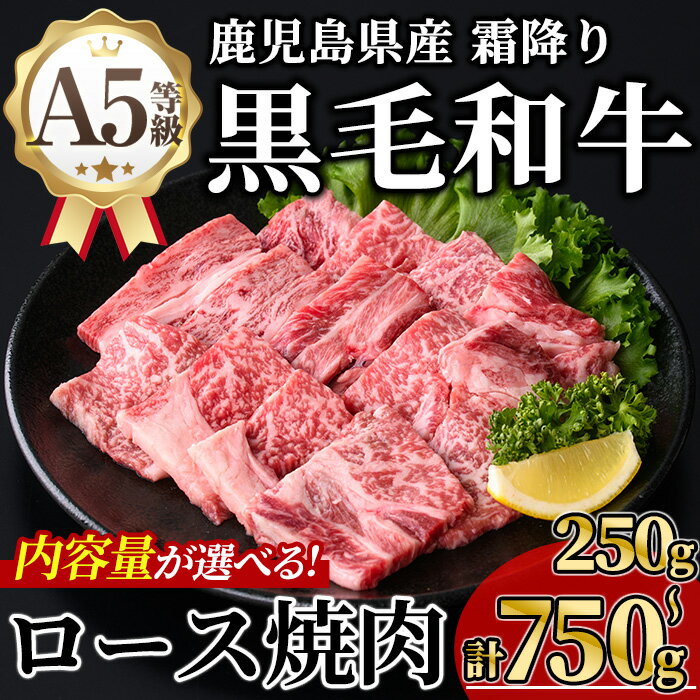 【ふるさと納税】＜内容量が選べる！＞鹿児島県産A5等級黒毛和牛霜降りロース焼肉 (計250g〜750g・250g×1～3P) 牛肉 鹿児島県産 牛 黒毛和牛 ロース 焼肉 ロース肉 A5 冷凍 霜降り【KNOT】