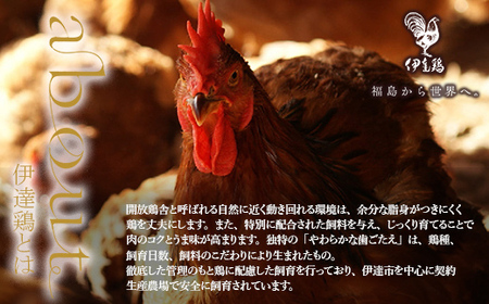「鳥幸の水炊き」伊達鶏スープのミールキット（2人前） F20C-460