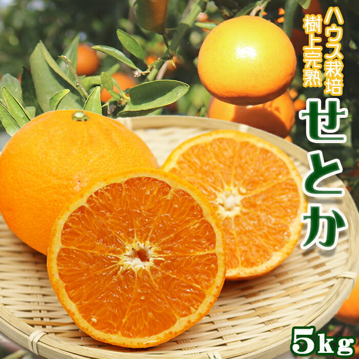 【ふるさと納税】【数量限定・先行予約】もぎたて樹上完熟！『せとか』5kg《優品／訳あり》　[0017-0017]