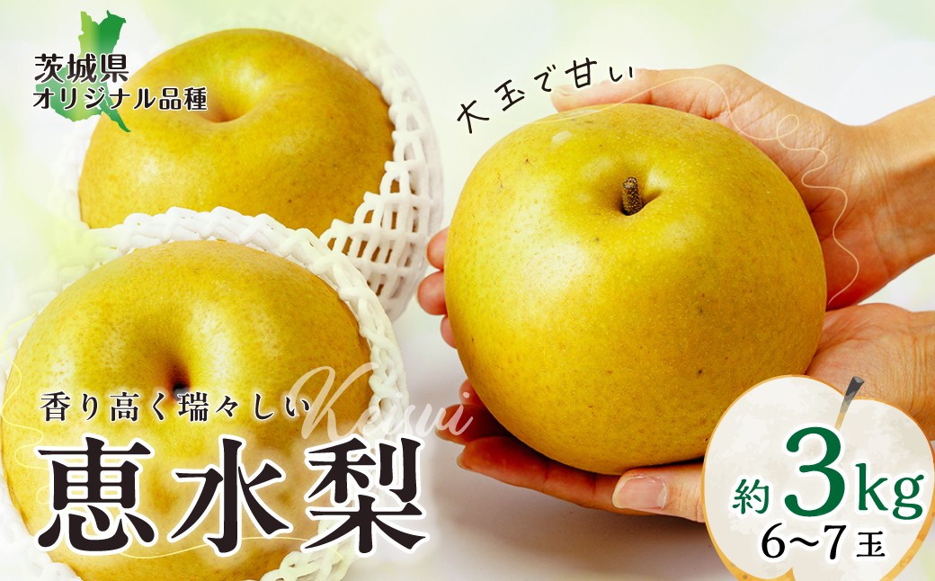 
            【先行予約 2025年】梨 恵水 約3kg 6玉 | 茨城県 常陸太田市 果樹園せいよう 恵水 オリジナル 大きい みずみずしい 品種 梨 フルーツ 高級 産地直送 限定品 贈り物 新鮮 お取り寄せ デザート ギフト 風味豊か 大玉 香り 上品 希少価値 珍しい 地域 甘い 限定 果物 果樹
          