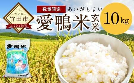 愛鴨米 玄米 10kg うるち玄米