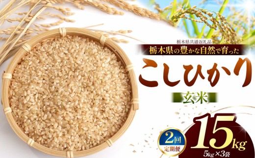 【先行予約】【定期2回】 こしひかり（玄米）約 15kg 栃木県共通返礼品｜コシヒカリ 米 玄米 おいしい お米 こめ おこめ  国産 ごはん ご飯  米 おこめ 限定 ランキング 人気  ふるさと 納税 栃木県 那珂川町 送料無料