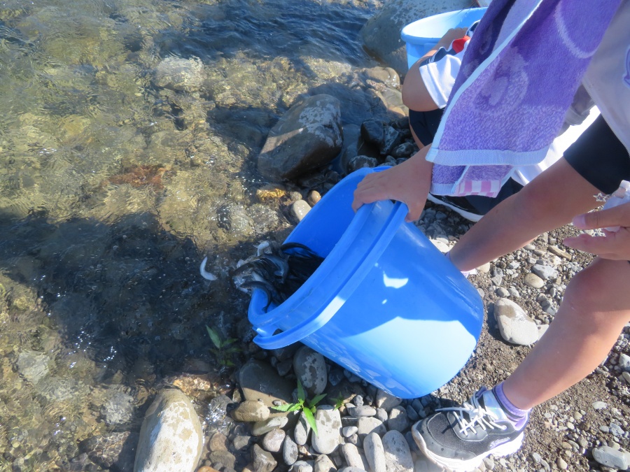 107009　奈半利川　年間遊漁券(対象年齢:18歳以上70歳未満)