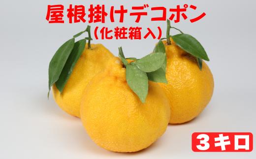 屋根掛けデコポン 約3kg（化粧箱入） ／ ミカン みかん 蜜柑 柑橘類 デコポン 不知火 3kg 屋根掛け 先行予約 フルーツ ＜132-006_5＞