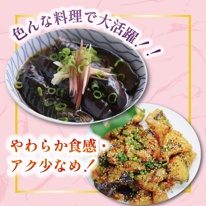 収穫したその日に発送する新鮮ナス便 約50本程度 採れたて なす 約50本 新鮮 小分け 茄子 野菜 旬 やさい 浅漬け 漬物 産地直送 健康 高知県 安田町 TR-0007