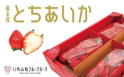 
            栃木市岩舟産とちあいか【フルーツ 果物 くだもの 食品 人気 おすすめ 送料無料】
          