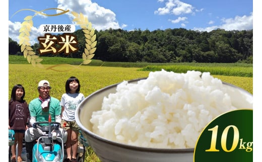 京都 丹後産コシヒカリ（玄米10kg）農家直送 こしひかり お米 おこめ こめ ご飯 ごはん　MD00002