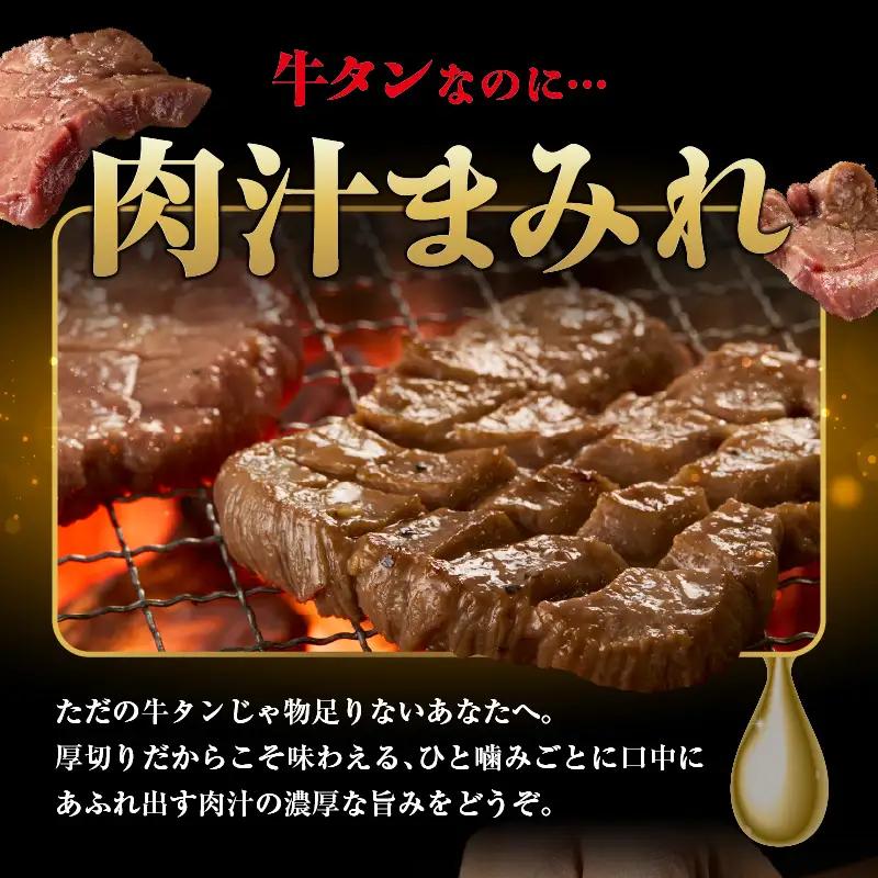 【訳あり】贅沢！やわらか！至福の時間！！厚切り塩だれ牛タン！！500g（250g×2パック） | 牛タン